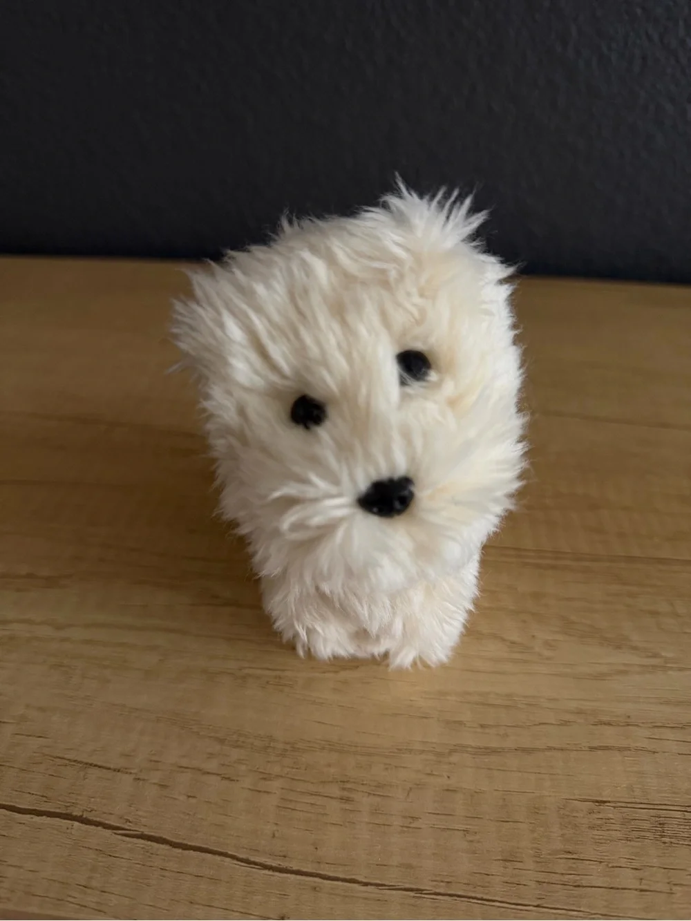 American Girl Doll Coconut the Dog